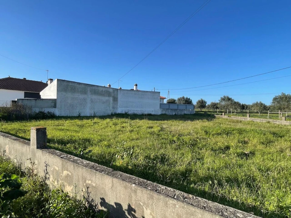 Terreno para Venda em Brogueira, Parceiros de Igreja e Alcorochel Foto 15