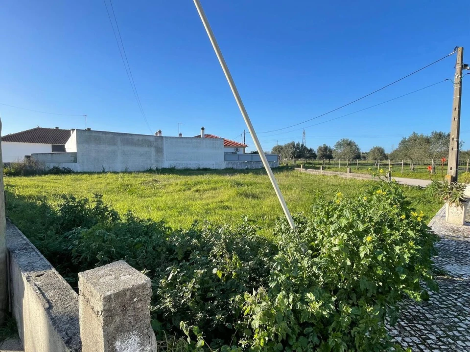 Terreno para Venda em Brogueira, Parceiros de Igreja e Alcorochel Foto 18
