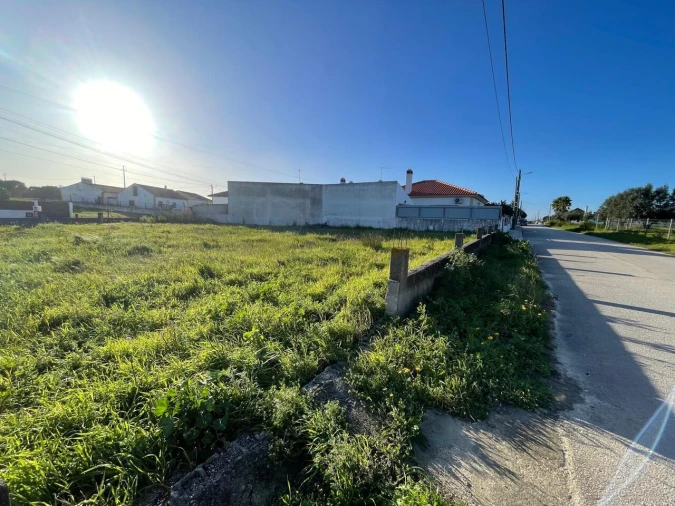Terreno para Venda em Brogueira, Parceiros de Igreja e Alcorochel Foto 6