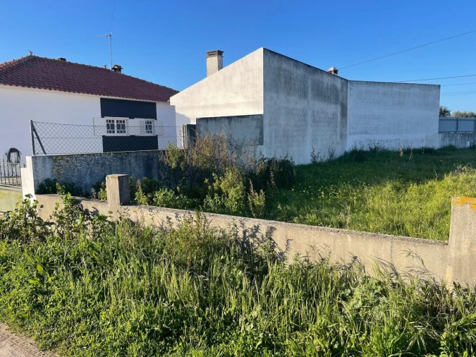 Terreno para Venda em Brogueira, Parceiros de Igreja e Alcorochel Foto 13