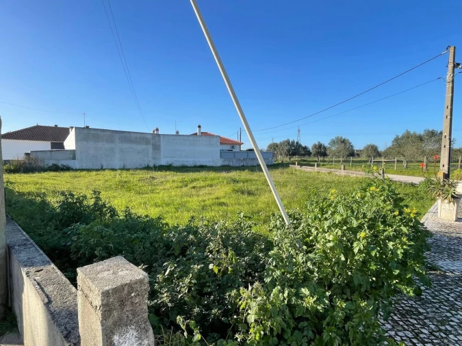 Terreno para Venda em Brogueira, Parceiros de Igreja e Alcorochel Foto 18