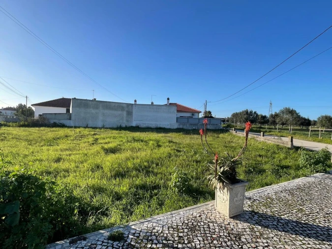 Terreno para Venda em Brogueira, Parceiros de Igreja e Alcorochel Foto 19