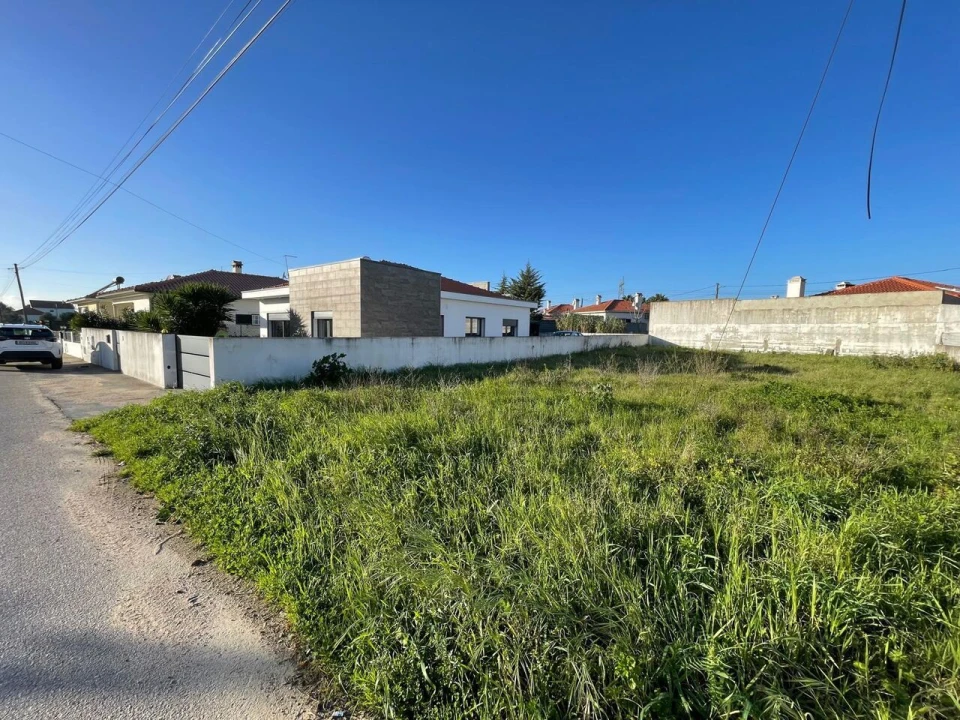 Terreno para Venda em Brogueira, Parceiros de Igreja e Alcorochel Foto 4