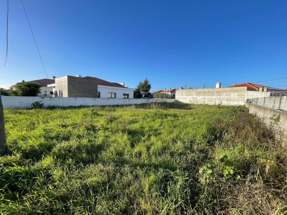 Terreno para Venda em Brogueira, Parceiros de Igreja e Alcorochel Foto 5