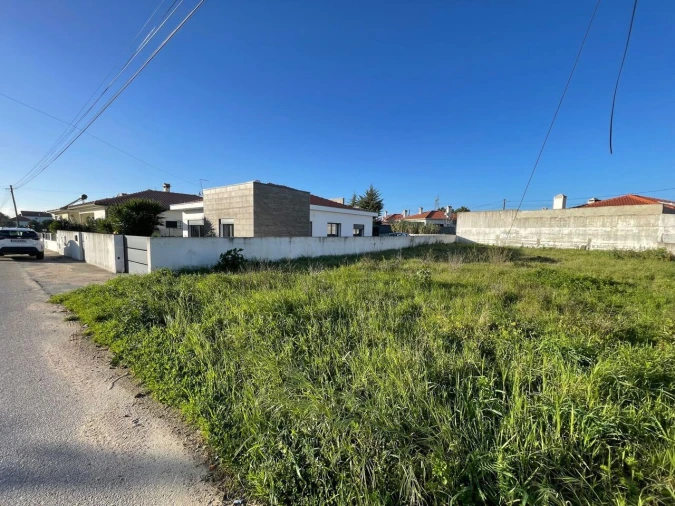 Terreno para Venda em Brogueira, Parceiros de Igreja e Alcorochel Foto 4
