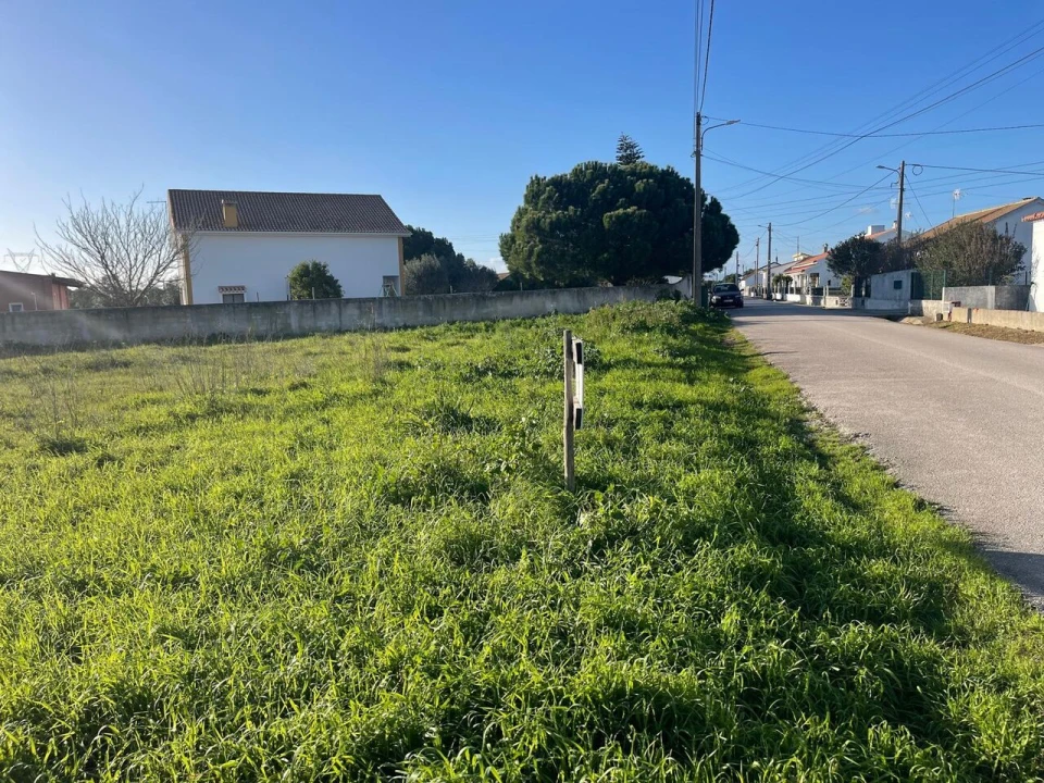 Terreno para Venda em Brogueira, Parceiros de Igreja e Alcorochel Foto 2