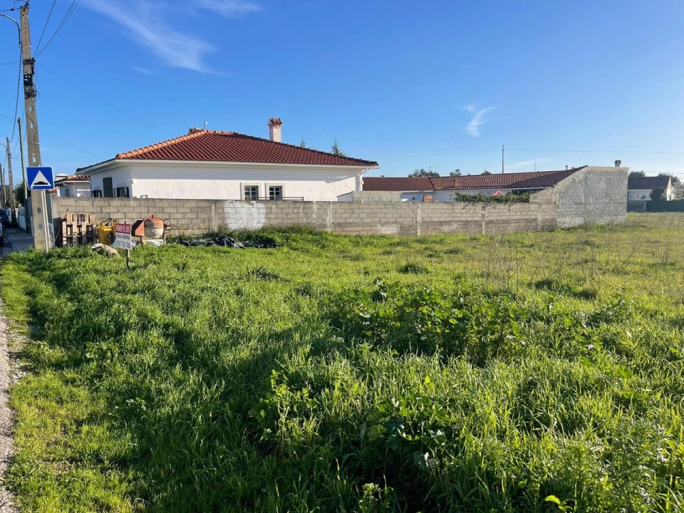 Terreno para Venda em Brogueira, Parceiros de Igreja e Alcorochel Foto 4
