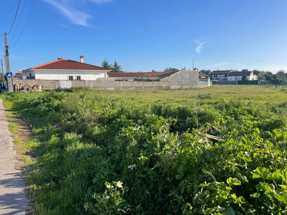 Terreno para Venda em Brogueira, Parceiros de Igreja e Alcorochel Foto 1
