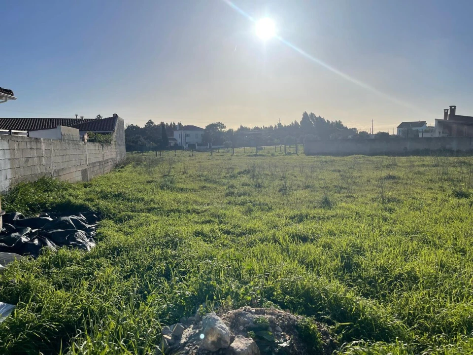 Terreno para Venda em Brogueira, Parceiros de Igreja e Alcorochel Foto 9