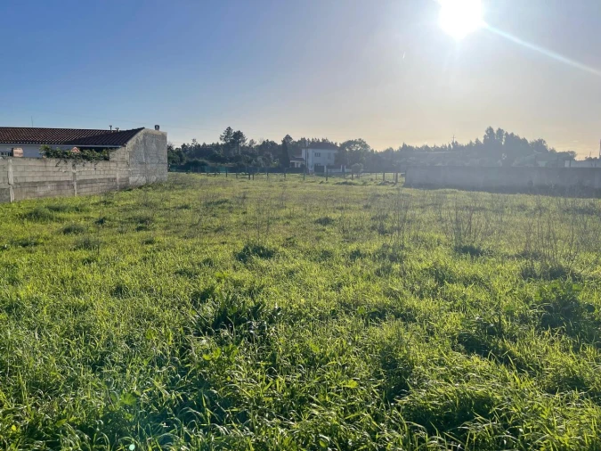 Terreno para Venda em Brogueira, Parceiros de Igreja e Alcorochel Foto 3