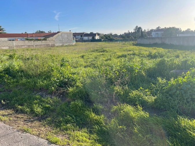 Terreno para Venda em Brogueira, Parceiros de Igreja e Alcorochel Foto 6