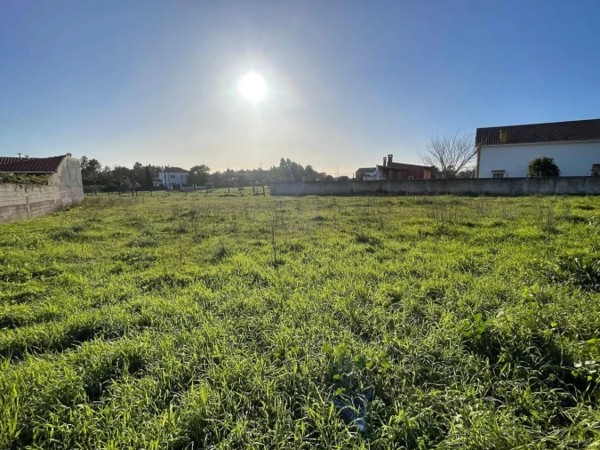 Terreno para Venda em Brogueira, Parceiros de Igreja e Alcorochel Foto 10