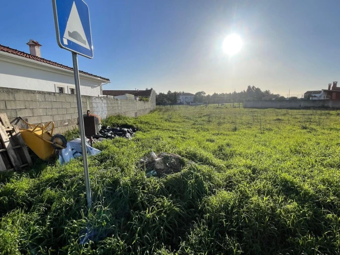 Terreno para Venda em Brogueira, Parceiros de Igreja e Alcorochel Foto 11