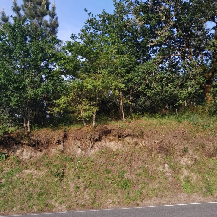 Terreno para Venda em Bico e Cristelo Foto 3