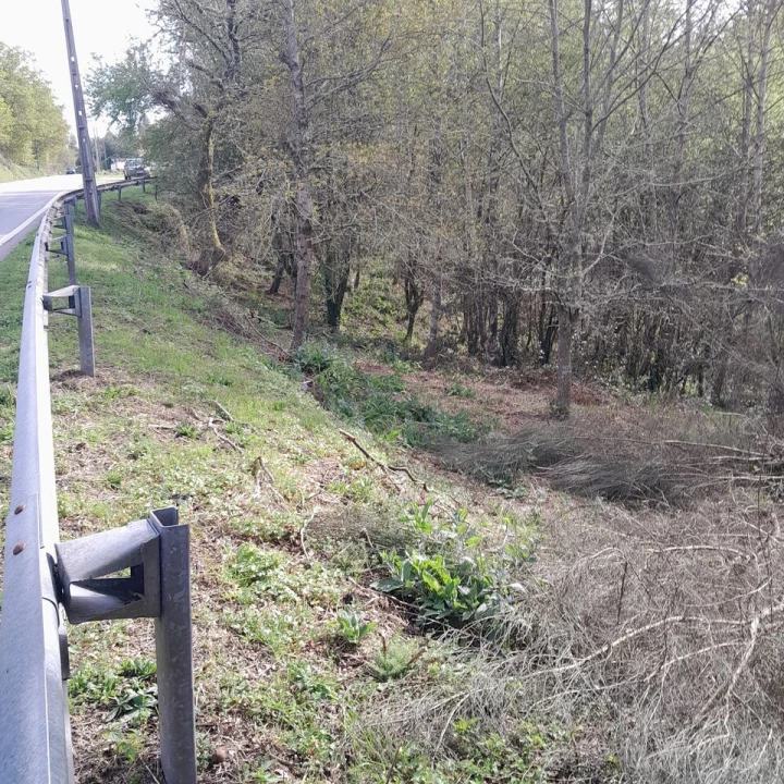 Terreno para Venda em Cossourado e Linhares Foto 2