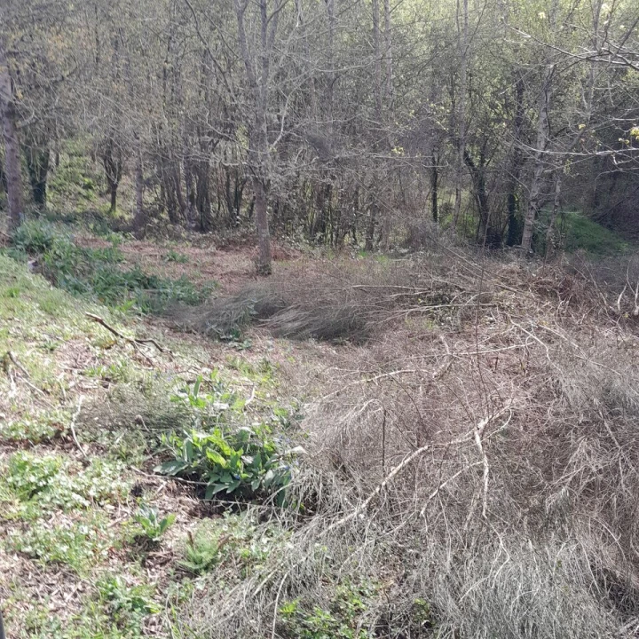Terreno para Venda em Cossourado e Linhares Foto 7