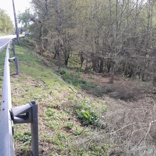 Terreno para Venda em Cossourado e Linhares Foto 2