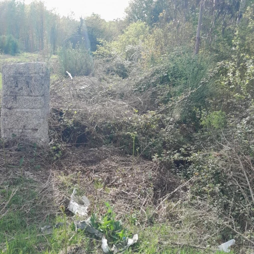 Terreno para Venda em Cossourado e Linhares Foto 4