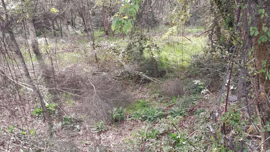 Terreno para Venda em Cossourado e Linhares