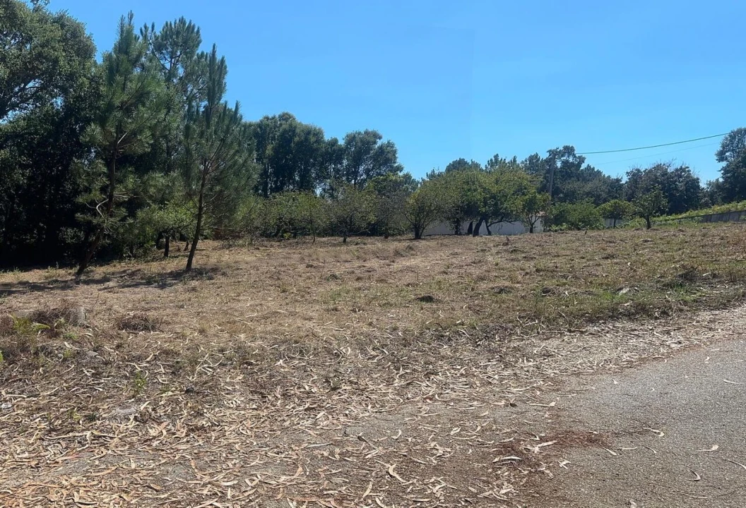 Terreno para Venda em Pataias e Martingança Foto 8