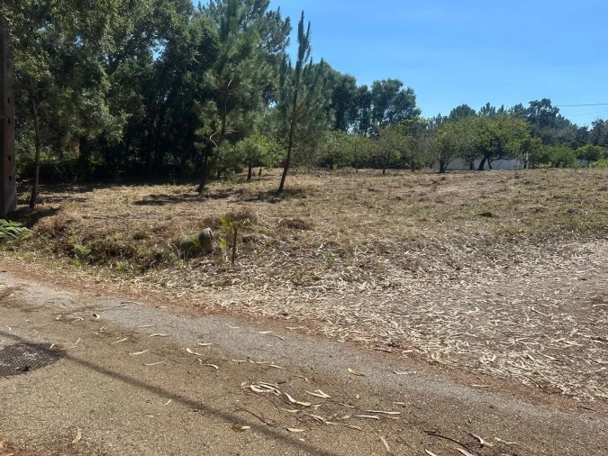 Terreno para Venda em Pataias e Martingança Foto 6