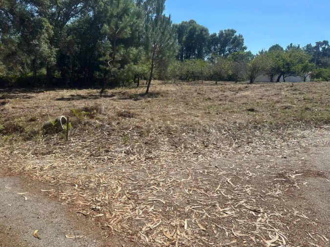 Terreno para Venda em Pataias e Martingança Foto 7
