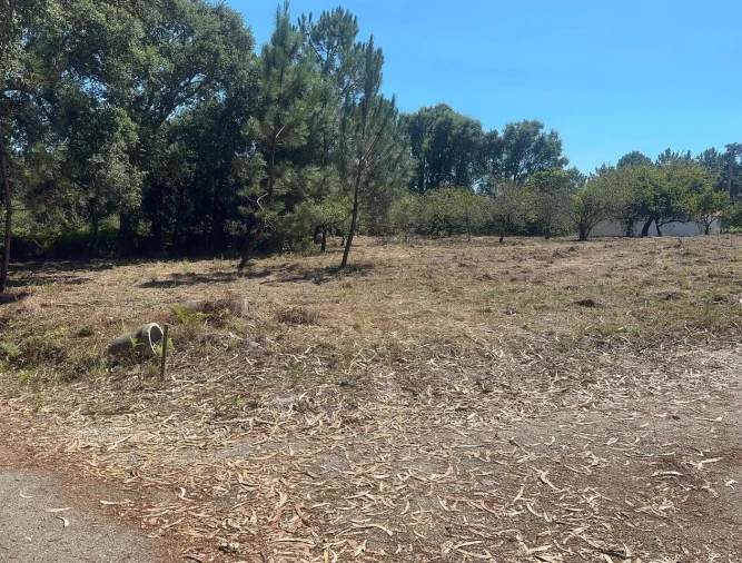 Terreno para Venda em Pataias e Martingança Foto 9