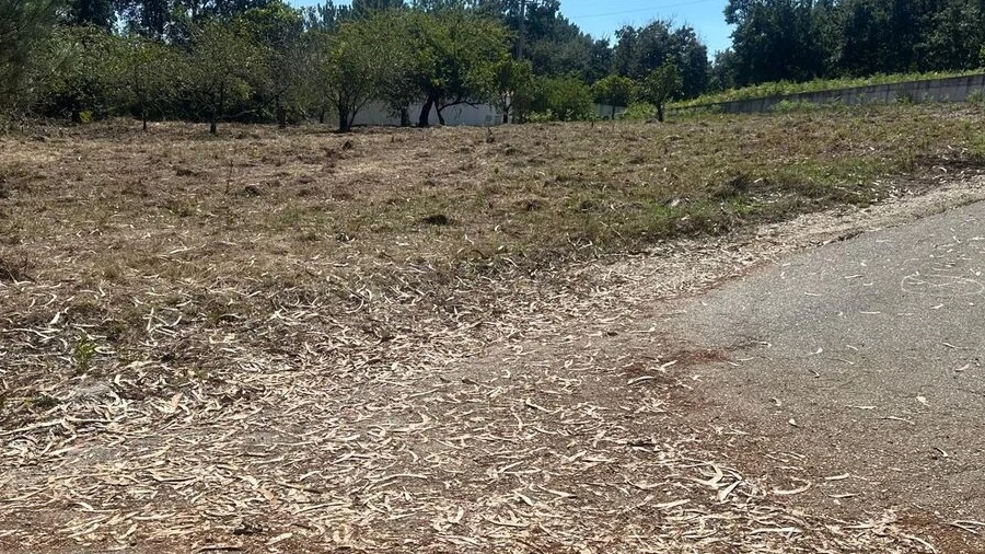 Terreno para Venda em Pataias e Martingança