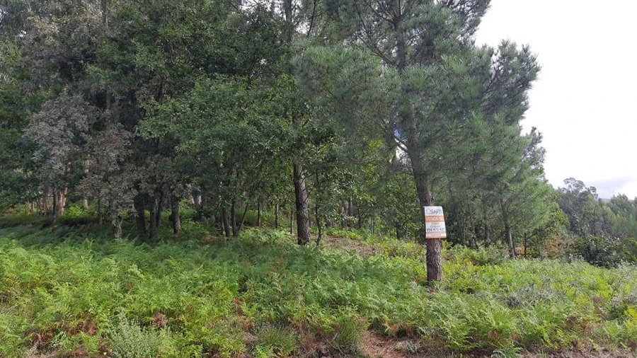 Terreno para Venda em Vila e Roussas