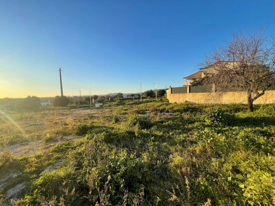 Terreno para Venda em Torres Novas (Santa Maria, Salvador e Santiago) Foto 7