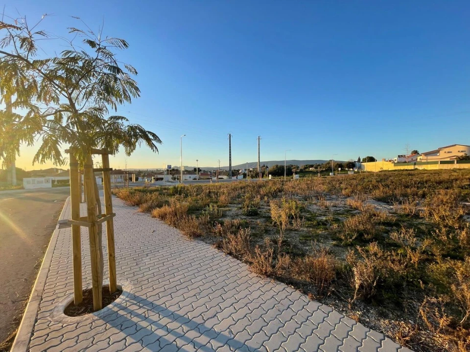 Terreno para Venda em Torres Novas (Santa Maria, Salvador e Santiago) Foto 14