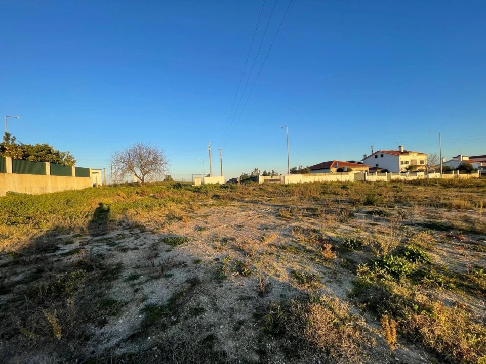 Terreno para Venda em Torres Novas (Santa Maria, Salvador e Santiago) Foto 24