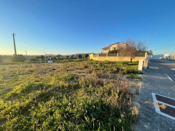 Terreno para Venda em Torres Novas (Santa Maria, Salvador e Santiago) Foto 5