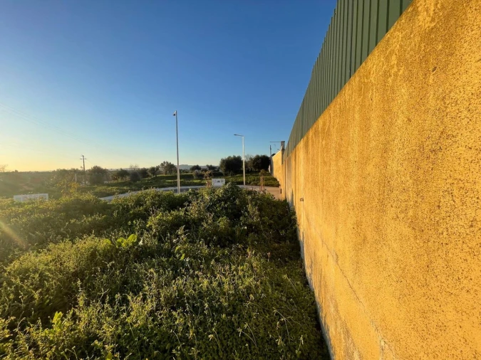 Terreno para Venda em Torres Novas (Santa Maria, Salvador e Santiago) Foto 27