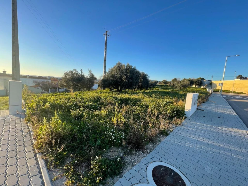 Terreno para Venda em Torres Novas (Santa Maria, Salvador e Santiago) Foto 6