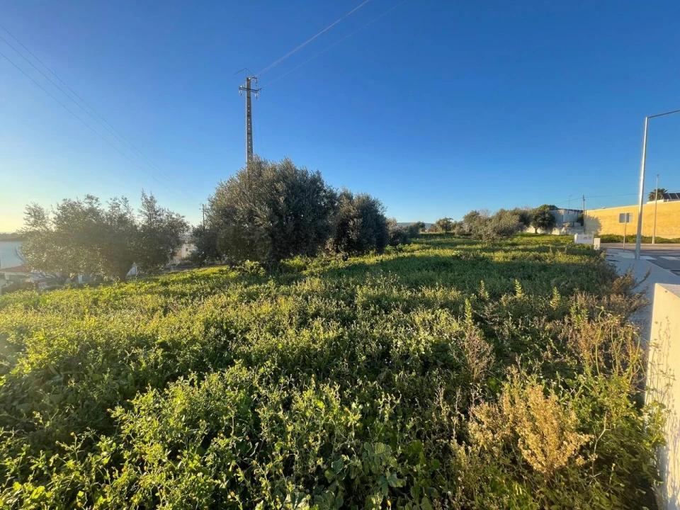 Terreno para Venda em Torres Novas (Santa Maria, Salvador e Santiago) Foto 7