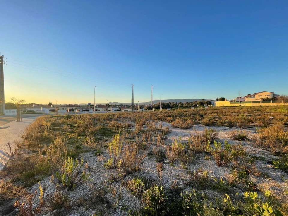 Terreno para Venda em Torres Novas (Santa Maria, Salvador e Santiago) Foto 18
