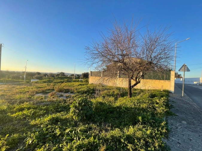 Terreno para Venda em Torres Novas (Santa Maria, Salvador e Santiago) Foto 35