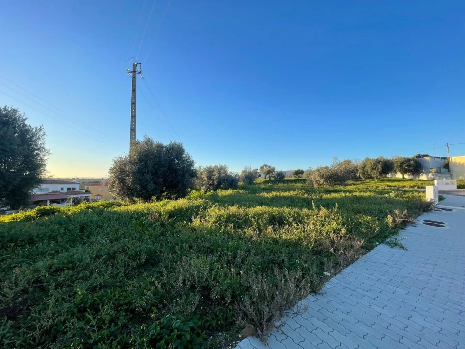 Terreno para Venda em Torres Novas (Santa Maria, Salvador e Santiago) Foto 9