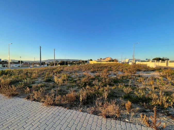 Terreno para Venda em Torres Novas (Santa Maria, Salvador e Santiago) Foto 12