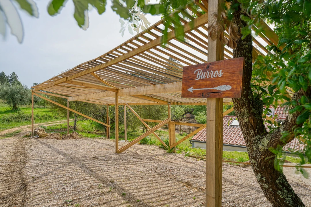 Quinta T10 para Venda em Gondemaria e Olival Foto 26