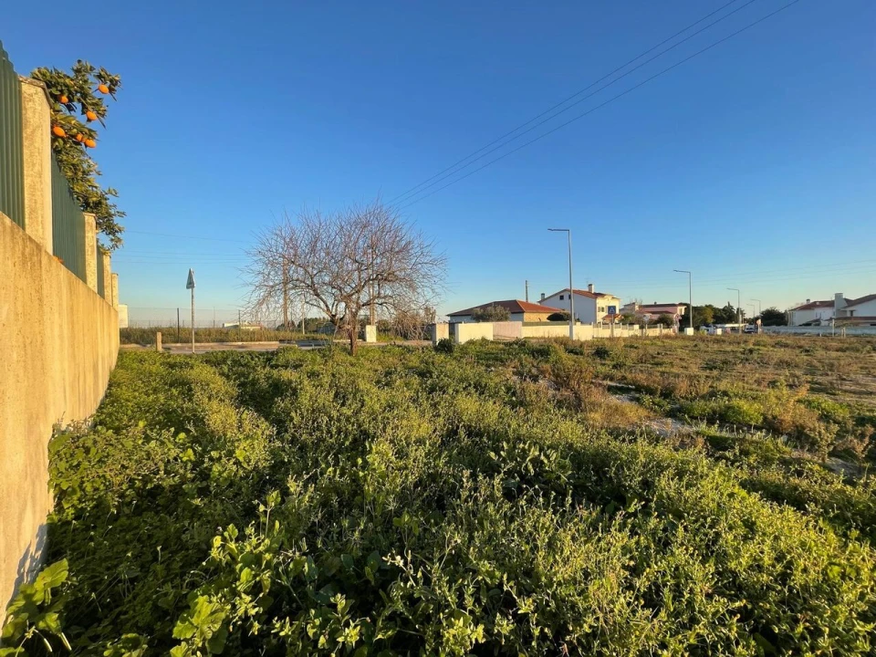 Terreno para Venda em Torres Novas (Santa Maria, Salvador e Santiago) Foto 23