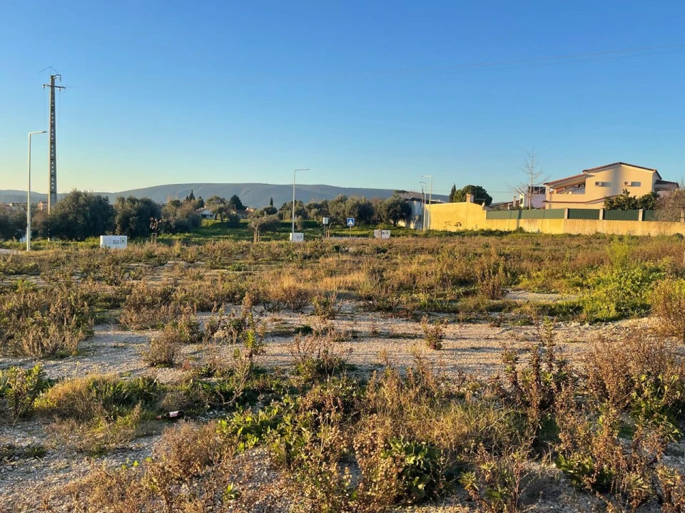 Terreno para Venda em Torres Novas (Santa Maria, Salvador e Santiago) Foto 6