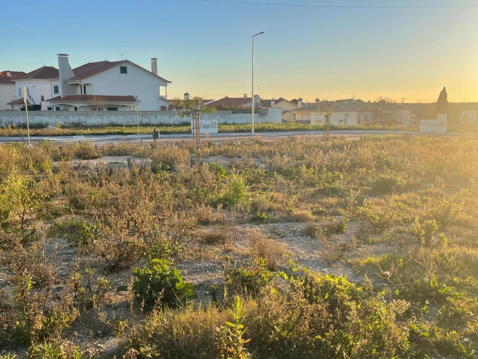 Terreno para Venda em Torres Novas (Santa Maria, Salvador e Santiago) Foto 7