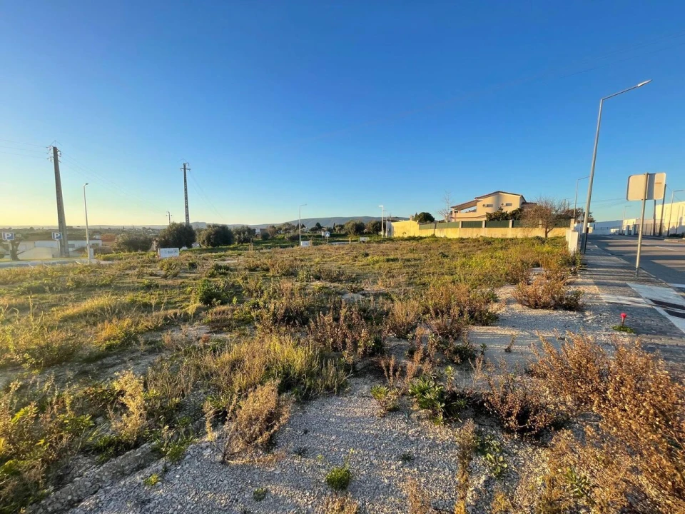 Terreno para Venda em Torres Novas (Santa Maria, Salvador e Santiago) Foto 8