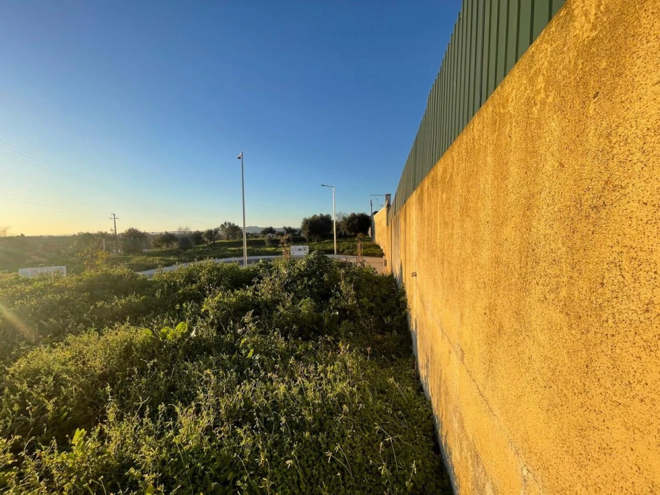 Terreno para Venda em Torres Novas (Santa Maria, Salvador e Santiago) Foto 25