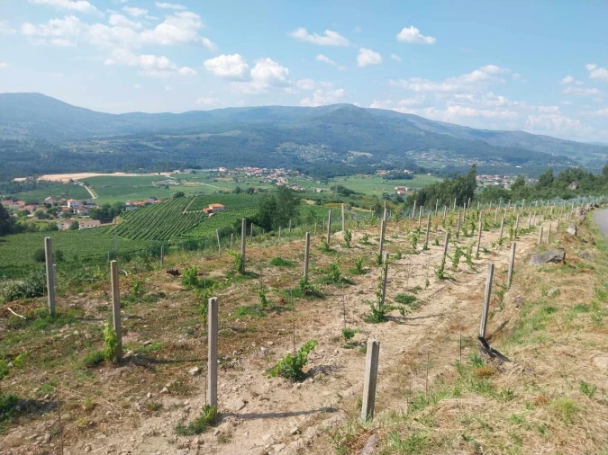 Terreno para Venda em Ceivães e Badim Foto 10