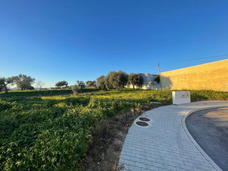 Terreno para Venda em Torres Novas (Santa Maria, Salvador e Santiago) Foto 9