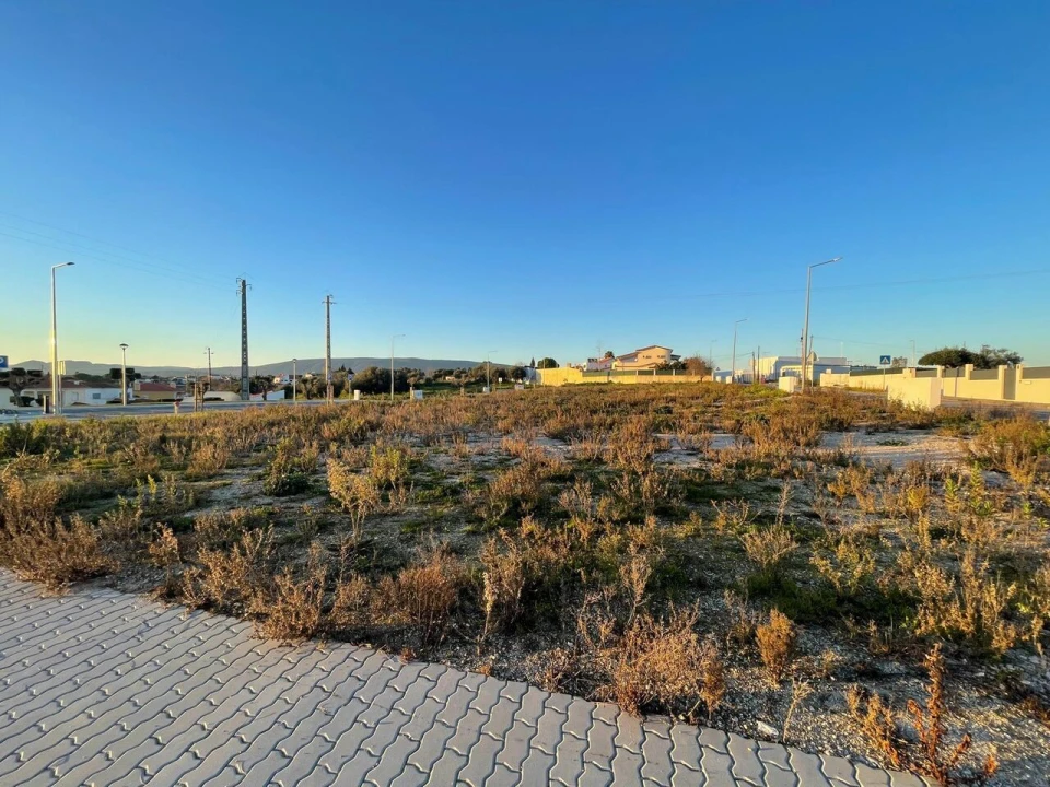 Terreno para Venda em Torres Novas (Santa Maria, Salvador e Santiago) Foto 16