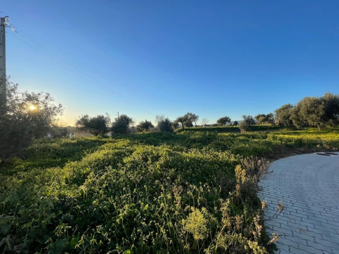 Terreno para Venda em Torres Novas (Santa Maria, Salvador e Santiago) Foto 10